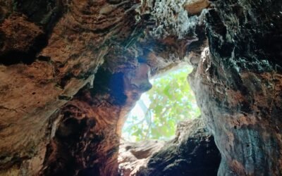 la sophrologie, un chemin vers l&rsquo;équilibre…