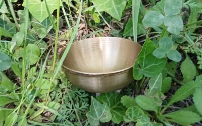 Le massage Kansu, quand l&rsquo;Ayurveda s&rsquo;invite au milieu des arbres