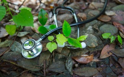 EHS, MCS, Cancer, quand notre environnement nous pollue…